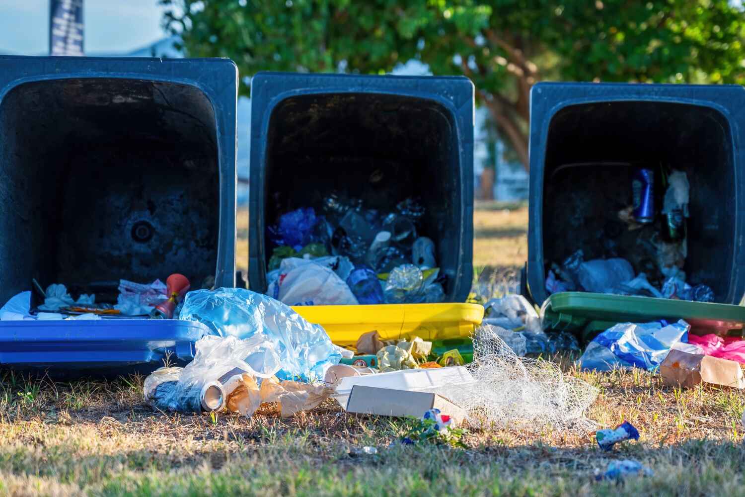 Best Construction Debris Removal  in Rm Beach, WA